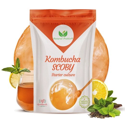 Natural Probio live kombucha SCOBY, sent with a guide and recipes